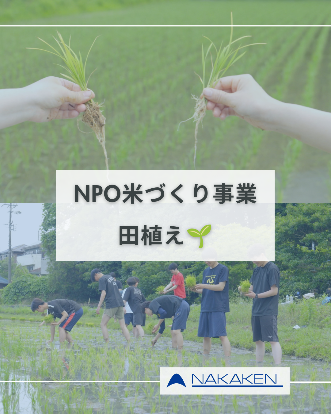 Read more about the article NPO 地球環境と自然を愛する会の米づくり事業における田植え活動を実施しました。
